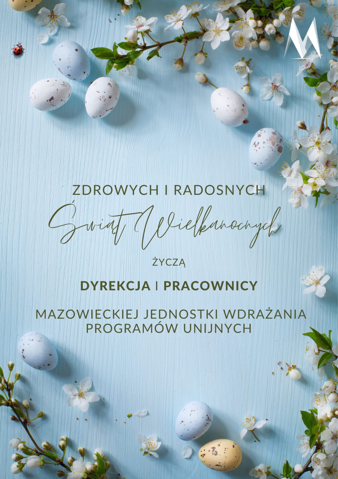 Jasnoniebieskie drewniane tło z rozrzuconymi pastelowymi jajkami, białymi kwiatami wiśni i zielonymi gałązkami. W centrum polski tekst z życzeniami zdrowych i radosnych Świąt Wielkanocnych, podpisany przez kierownictwo i pracowników Mazowieckiej Jednostki Wdrażania Programów Unijnych.